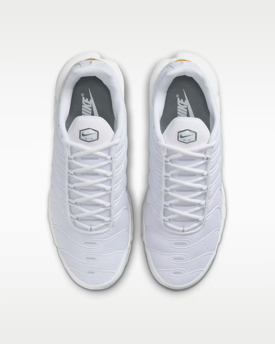 Nike Air Max Plus